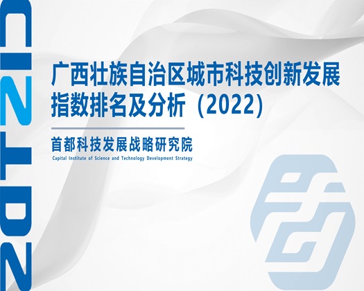 黄色美女操逼大雷【成果发布】广西壮族自治区城市科技创新发展指数排名及分析（2022）